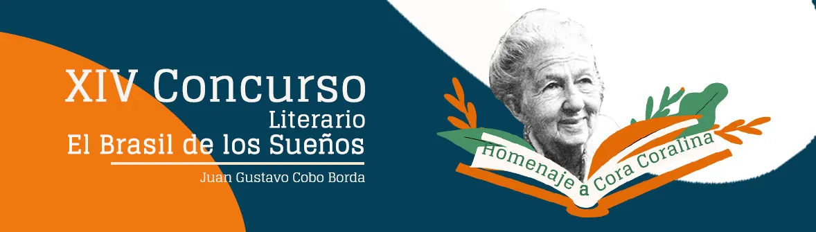 Banner-Brasil-de-los-Sueños